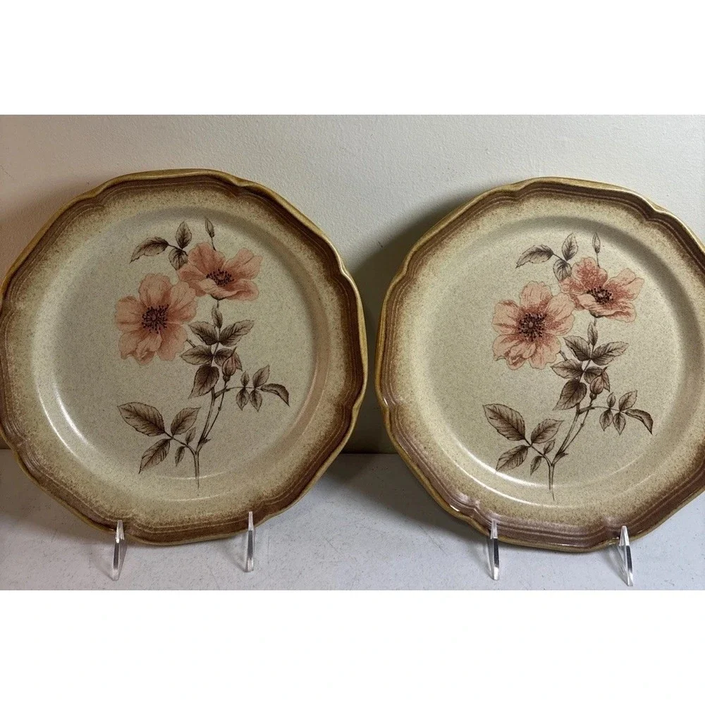 Mikasa‎ Whole Wheat ROSE DUET E8015 Dinner Plates 10.75